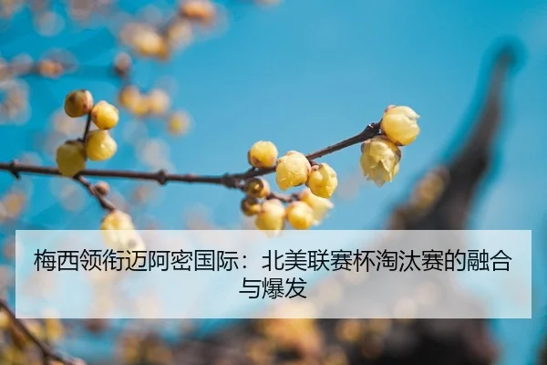 mei-xi-ling-xian-mai-a-mi-guo-ji-bei-mei-lian-sai-bei-tao-tai-sai-de-rong-he-yu-bao-fa-2-319.jpg