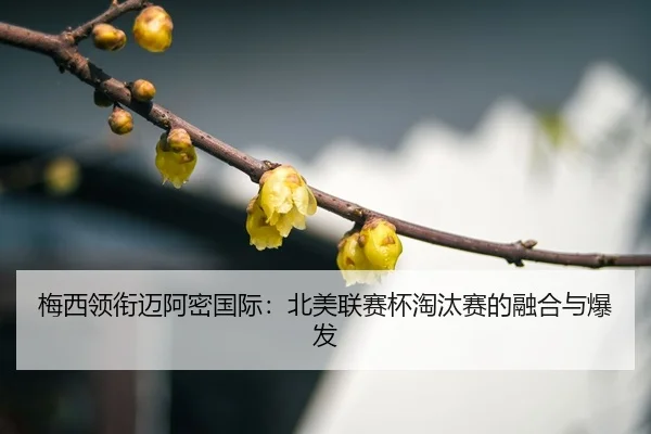 mei-xi-ling-xian-mai-a-mi-guo-ji-bei-mei-lian-sai-bei-tao-tai-sai-de-rong-he-yu-bao-fa-3-938.jpg