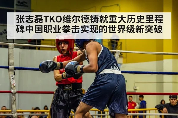 boxer in ring